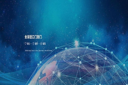 江苏冷冻鱼肉全球门到门服务与信息技术咨询的融合发展